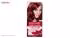کیت رنگ مو گارنیه شماره Color Sensation Shade 6.60