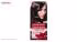 کیت رنگ مو گارنیه شماره Color Sensation Shade 1