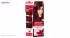 کیت رنگ مو گارنیه شماره Color Sensation Shade 4.60