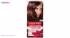 کیت رنگ مو گارنیه شماره Color Sensation Shade 4.30