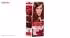 کیت رنگ مو گارنیه شماره Color Sensation Shade 6.42