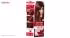 کیت رنگ مو گارنیه شماره Color Sensation Shade 5.35