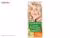 کیت رنگ مو گارنیه شماره Color Naturals 10