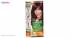 کیت رنگ مو گارنیه شماره Color Naturals 5.52