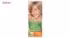کیت رنگ مو گارنیه شماره Color Naturals Shade 8