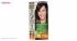 کیت رنگ مو گارنیه شماره Color Naturals Shade 1