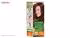 کیت رنگ مو گارنیه شماره Color Naturals Shade 6.34