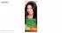 کیت رنگ مو گارنیه شماره Color Naturals Shade 3