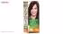 کیت رنگ مو گارنیه شماره Color Naturals Shade 4