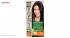 کیت رنگ مو گارنیه شماره Color Naturals Shade 3