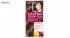 کیت رنگ مو لورآل شماره Casting Creme Gloss 513