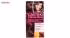 کیت رنگ مو لورآل شماره Casting Creme Gloss 515