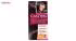 کیت رنگ مو لورآل شماره Casting Creme Gloss 200