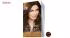 کیت رنگ مو آون مدل Advance Techniques Professional Hair Color کد5.3 رنگ Medium Golden Brown