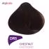 رنگ مو دینوری سری Professional شماره DR5 حجم 100 میلی لیتر رنگ بلوطی