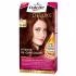 کیت رنگ مو پلت سری Deluxe مدل Medium Chestunut Brown شماره 68-5