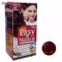 کیت رنگ مو بیگن سری Easy Natural شماره R7 حجم 75 میلی لیتر رنگ بلوند شرابی تیره